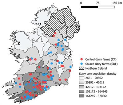 Longitudinal Prevalence of Antibodies to Endemic Pathogens in Bulk Tank Milk Samples From Dairy Herds Engaged or Not in Contract Heifer Rearing